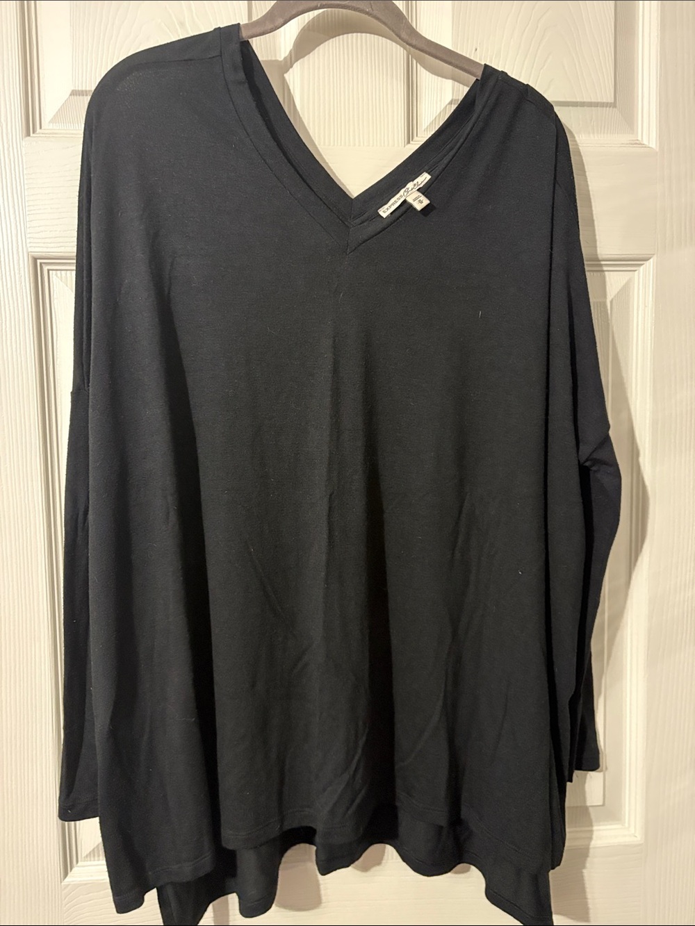 Express Black V-Neck Long Sleeve Top